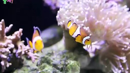 완산구출장타이OiOc7685c6221｛카톡PP888｝ぱ완산구출장안@마ぱ완산구출장샵ぱ완산구출장맛사지 ぱ완산구출장걸썰 완산구출장걸가격 완산구출장러시아 완산구외국인후불출장업소 완산구24시출장마사지샵'예약♪∀