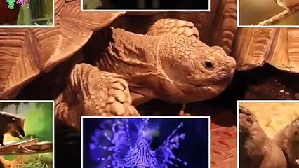 계양출장타이OiOy2997y5327｛카톡KC789｝ぱ계양출장안@마ぱ계양출장샵ぱ계양출장맛사지 ぱ계양출장걸썰 계양출장걸가격 계양출장러시아 계양외국인후불출장업소 계양24시출장마사지샵'예약ノハバ