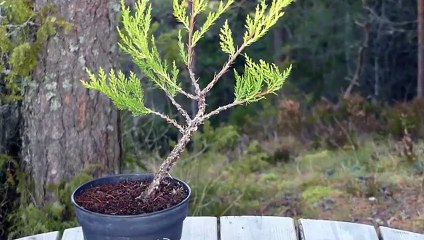 남동출장타이070c5180c1620｛카톡XI74｝ぱ남동출장안@마ぱ남동출장샵ぱ남동출장맛사지 ぱ남동출장걸썰 남동출장걸가격 남동출장러시아 남동외국인후불출장업소 남동24시출장마사지샵'예약ЭЮЯ
