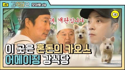 [#모아봤zip] ※말조심! 말!말!말!※ 퇴사 5분전ㅋㅋㅋㅋㅋㅋ혼돈의 강식당 | #강식당2 |#Diggle