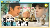 [#모아봤zip] ※말조심! 말!말!말!※ 퇴사 5분전ㅋㅋㅋㅋㅋㅋ혼돈의 강식당 | #강식당2 |#Diggle