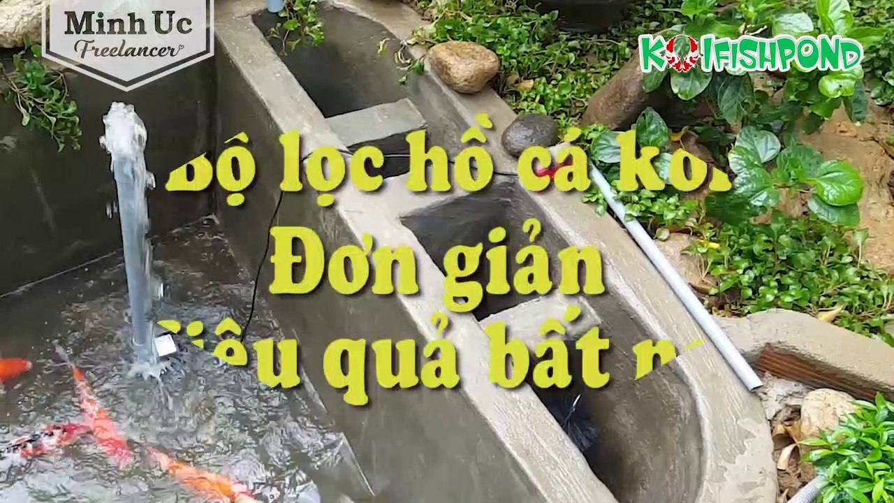 How to make a koi fish pond (part2) - Cách xây hồ cá koi mini tại nhà (phần 2)
