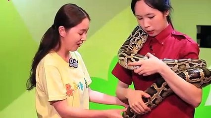 고양출장안마 -후불100%ョO7Os7333s9649｛카톡VV23} 고양전지역출장안마 고양오피걸 고양출장마사지 고양안마 고양출장마사지 고양콜걸샵œßþ