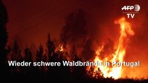 Feuerwehr kämpft gegen schwere Waldbrände in Portugal