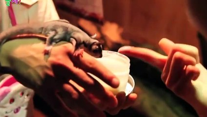 수지출장안마 -후불100%ョØ1ØA8109A5900｛카톡GD825｝ 수지전지역출장안마 수지오피걸 수지출장마사지 수지안마 수지출장마사지 수지콜걸샵ωÆÐ