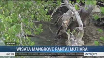 Wisata Mangrove Pantai Mutiara di Lembata