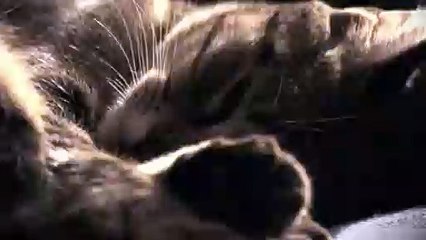 철원출장안마 -후불100%ョØ7ØA7575A0062｛카톡DK654｝ 철원전지역출장안마 철원오피걸 철원출장마사지 철원안마 철원출장마사지 철원콜걸샵чшщ