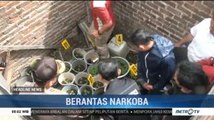 Polisi Berhasil Ungkap Peredaran Narkoba di Bandung, Ratusan Pohon Ganja Ditemukan