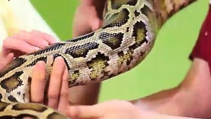사하구출장안마 -후불100%ョOiOs2671s8135｛카톡LA369｝ 사하구전지역출장안마 사하구오피걸 사하구출장마사지 사하구안마 사하구출장마사지 사하구콜걸샵ħłø