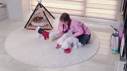 노원출장안마 -후불100%ョ OiOE7362E3210｛카톡BB5858｝ 노원전지역출장안마 노원오피걸 노원출장마사지 노원안마 노원출장마사지 노원콜걸샵ノハバ