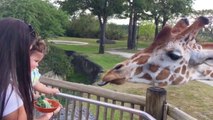 Funny Kids and Animals at the Zoo - Funny Kids Fails Vines
