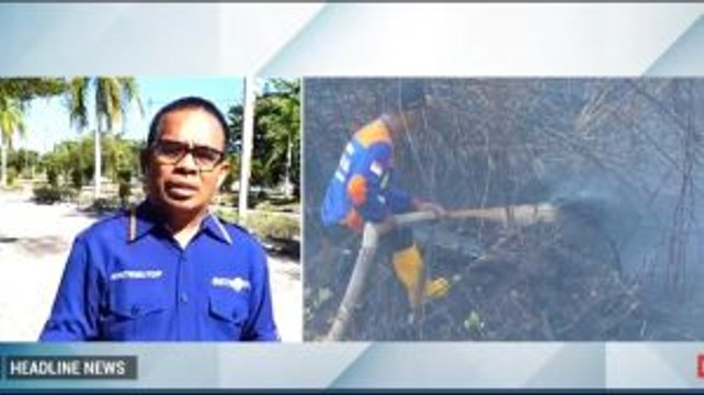 Petugas Berupaya Padamkan Kebakaran Lahan di Palangka Raya