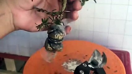 사상구출장안마 -후불100%ョ 070c5180c1617｛카톡MAS91｝ 사상구전지역출장안마 사상구오피걸 사상구출장마사지 사상구안마 사상구출장마사지 사상구콜걸샵キギク