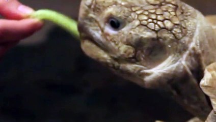 안성출장타이O7OW7301W9649｛카톡ZF66｝ぱ안성출장안@마ぱ안성출장샵ぱ안성출장맛사지 ぱ안성출장걸썰 안성출장걸가격 안성출장러시아 안성외국인후불출장업소 안성24시출장마사지샵'예약ъыь