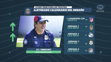 LUP: ¿Quién hizo la planeación de Chivas?