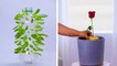 We're Rooting for These 12 Clever Plant Hacks! | DIY Gardening and Plant Tips