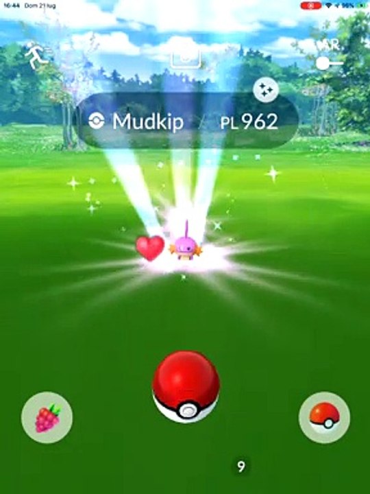 SHINY MUDKIP IV 100 CP 962