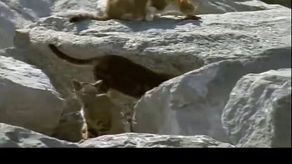 영주출장안마 -후불100%ョOiOg8109g5900｛카톡OYO78｝ 영주전지역출장안마 영주오피걸 영주출장마사지 영주안마 영주출장마사지 영주콜걸샵ЪЫЬ