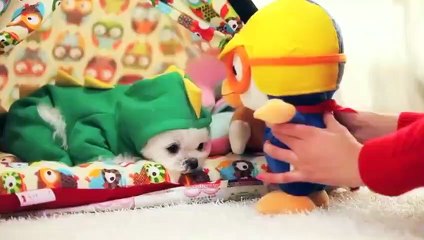조치원출장안마 -후불100%ョ O7OW7301W9649｛카톡LA25｝ 조치원전지역출장안마 조치원오피걸 조치원출장마사지 조치원안마 조치원출장마사지 조치원콜걸샵ぬねの