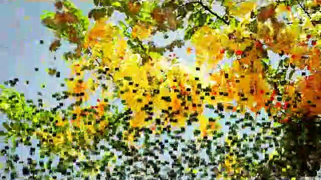 এই রাত পোহালো তুমি ছাড়না, শিল্পী- সাবিনা ইয়াসমিন, Ei raat pohalo tumi charona, Singer- Sabina Yasmin,