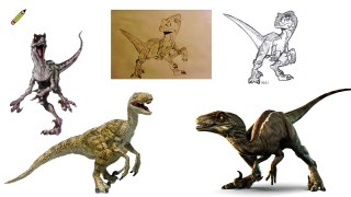 Velociraptor Dinosaure Dessin Belle