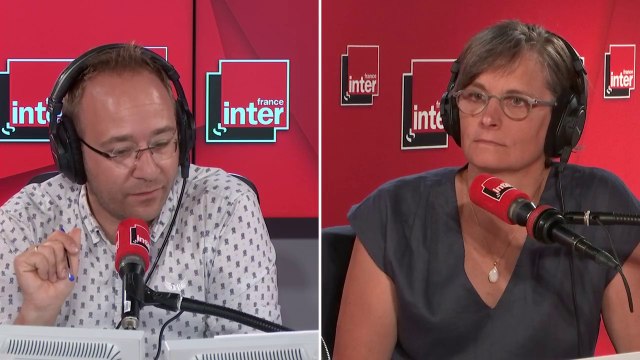 Corinne Le Quéré (climatologue) : Transport, économie, bâtiment : les émissions ne diminuent pas assez vite en France
