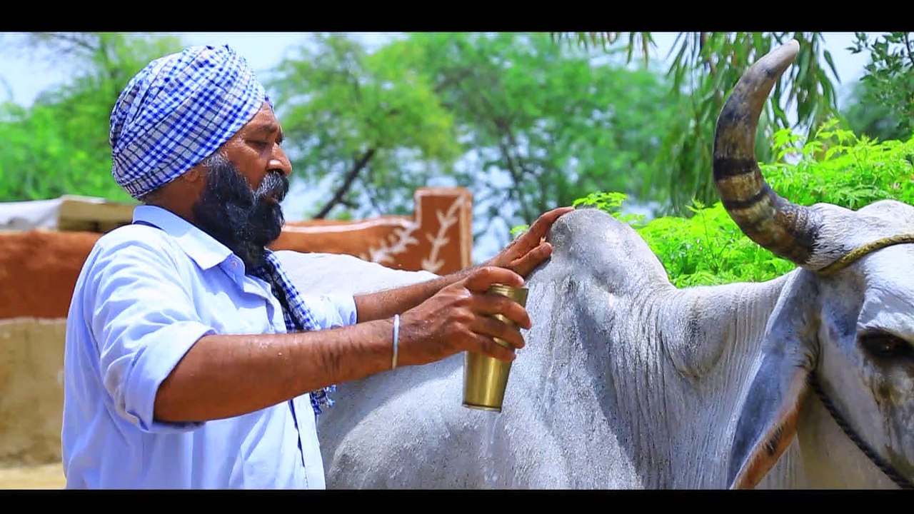 Anantpal Billa ll Gadde Balad ll (Full Video) Anand Music II New Punjabi Song 2019