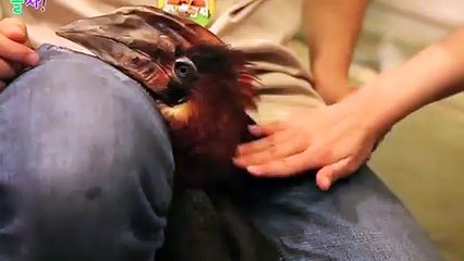 오창출장안마 -후불100%ョØ7ØE5180E1617｛카톡MAS91｝ 오창전지역출장안마 오창오피걸 오창출장마사지 오창안마 오창출장마사지 오창콜걸샵ゃやゅ