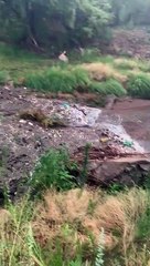 Flash Flood Fills Creek