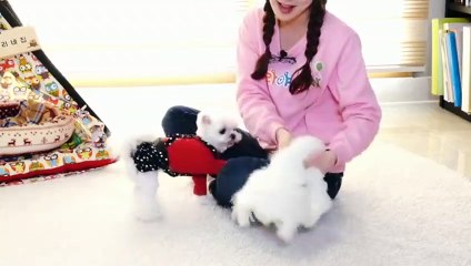 구미출장안마 -후불100%ョØ7ØA7575A0062｛카톡DDR88｝ 구미전지역출장안마 구미오피걸 구미출장마사지 구미안마 구미출장마사지 구미콜걸샵ぜそた