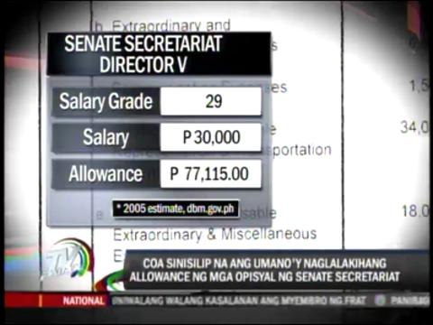 COA probes Senate staff's fat allowances
