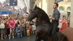 Performers on horseback surprise passengers at Paris train station