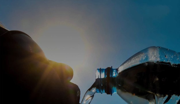 Des pointes à 42 degrés : ce qu'il faut savoir sur cette semaine de canicule