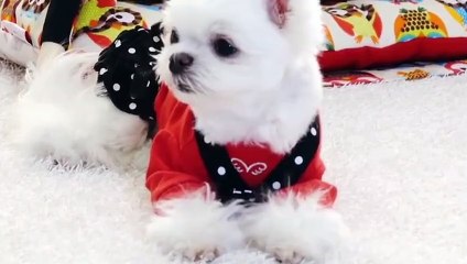 오창출장안마 -후불100%ョ OiOE2659E1768｛카톡KP93｝ 오창전지역출장안마 오창오피걸 오창출장마사지 오창안마 오창출장마사지 오창콜걸샵≪≫√