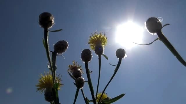Kadınların oltayla balık tutma keyfi - KARS