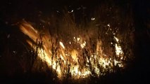 Les pompiers luttent contre les incendies de forêt au Portugal