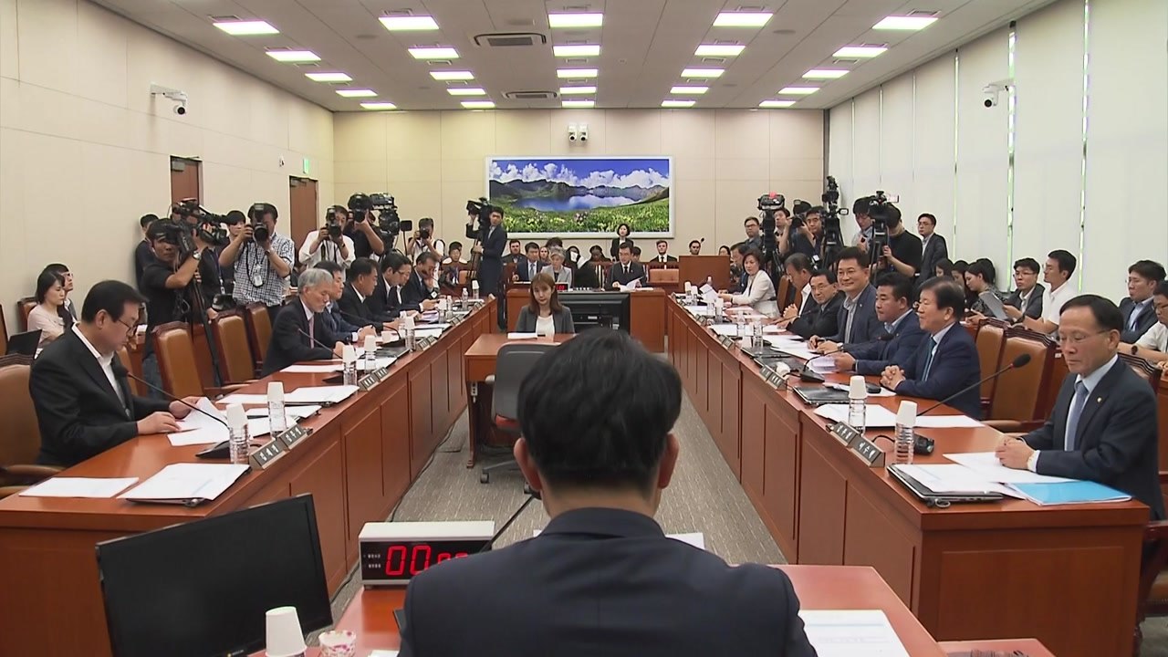 국회 외통위, 日 수출 규제 철회 촉구 결의안 채택 / YTN