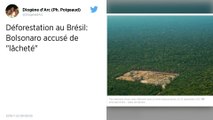 Déforestation : Le président brésilien Jair Bolsonaro accusé de « lâcheté »