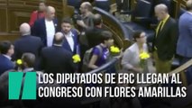 Los diputados de ERC entran en el Congreso con flores amarillas