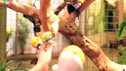 성남출장타이O7OW7333W9649｛카톡LGT010｝ぱ성남출장안@마ぱ성남출장샵ぱ성남출장맛사지 ぱ성남출장걸썰 성남출장걸가격 성남출장러시아 성남외국인후불출장업소 성남24시출장마사지샵'예약∑⇒∃