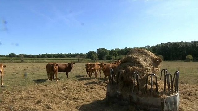 Во Францию возвращается жара