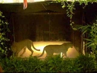 Le salon du cinema 2008 - cinema d'agate