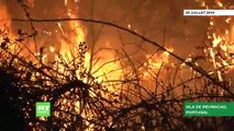 Les feux de forêts qui frappent depuis samedi le centre du Portugal, étaient «maîtrisés à 90%» ce matin, selon la Protection civile  - VIDEO