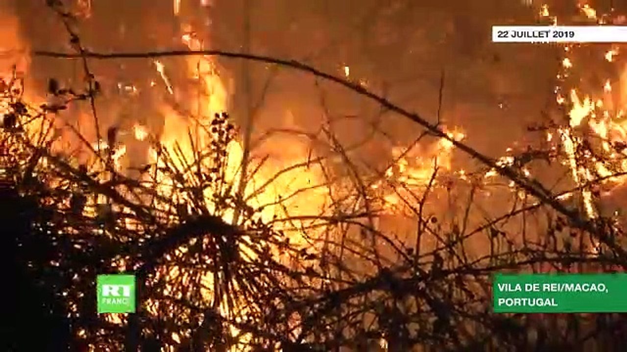 Les feux de forêts qui frappent depuis samedi le centre du Portugal, étaient «maîtrisés à 90%» ce matin, selon la Protection civile  - VIDEO