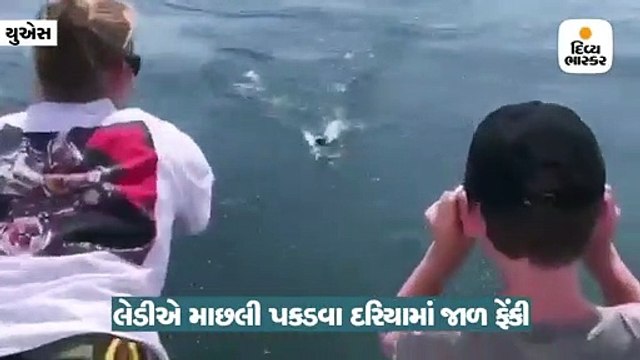 માછલી માટે ફસાવી જાળ, અચાનક આવી ગઈ સફેદ શાર્ક