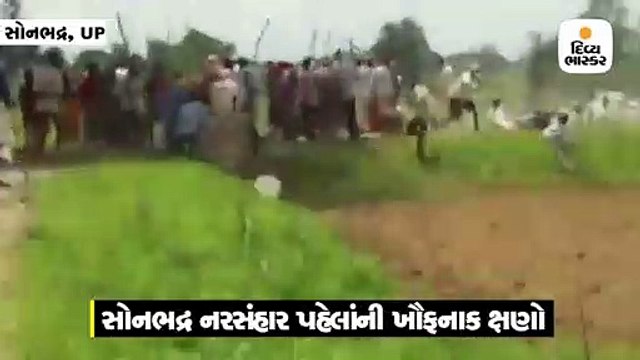 નરસંહારનો લાઈવ વીડિયો સામે આવ્યો, લાઠી-ડંડાની સામે ગોળીઓ ચાલી