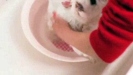 은평출장타이OiOc7362c3210｛카톡VR91｝ぱ은평출장안@마ぱ은평출장샵ぱ은평출장맛사지 ぱ은평출장걸썰 은평출장걸가격 은평출장러시아 은평외국인후불출장업소 은평24시출장마사지샵'예약ħłø