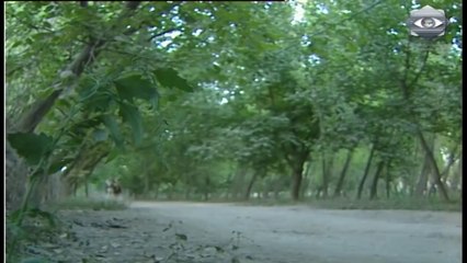 مسلسل الخوالي - اجتماع اهل الشاغور لنصرة نصار ابن عريبي