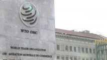 내일 '日 수출 규제' WTO 논의...이 시각 현지는? / YTN