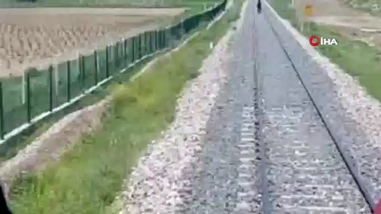 Tren rayları üzerinde yürüyen at, makinistin dikkati sayesinde böyle kurtuldu